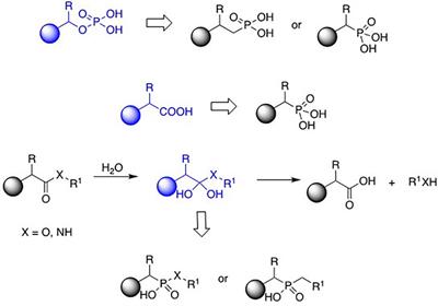 Editorial: Phosphonate chemistry in drug design and development, Volume II